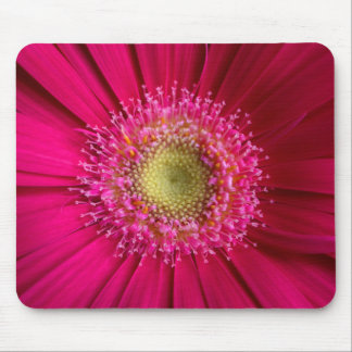 Gerbera Daisy Muismat