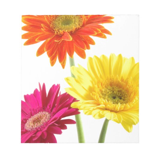 Gerbera Daisy Notitieblok (Voorkant)