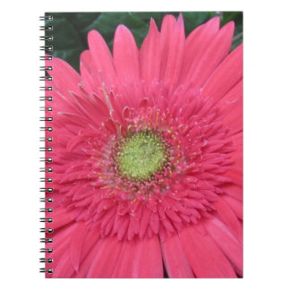 Gerbera Daisy Notitieboek