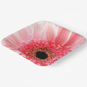 Gerbera Daisy Papieren Bordje (Gebogen)