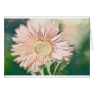Gerbera Daisy Pastel