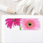 Gerbera Daisy Piink Flowers Etiket (Insitu)