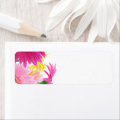 Gerbera Daisy Piink Flowers Etiket (Insitu)