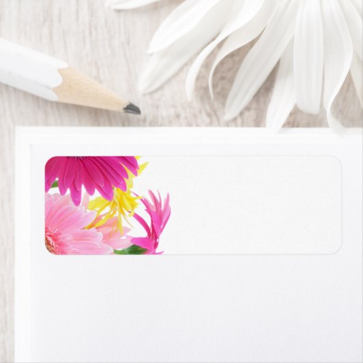 Gerbera Daisy Piink Flowers Etiket (Insitu)