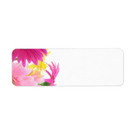 Gerbera Daisy Piink Flowers Etiket