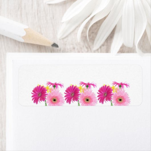 Gerbera Daisy Piink Flowers Etiket (Insitu)