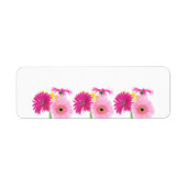 Gerbera Daisy Piink Flowers Etiket (Voorkant)