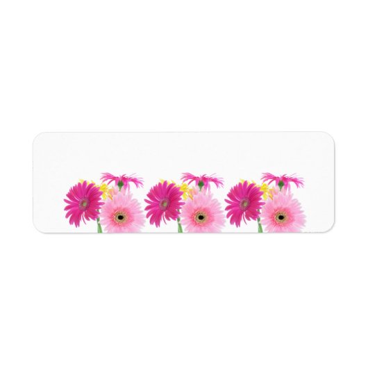 Gerbera Daisy Piink Flowers Etiket (Voorkant)