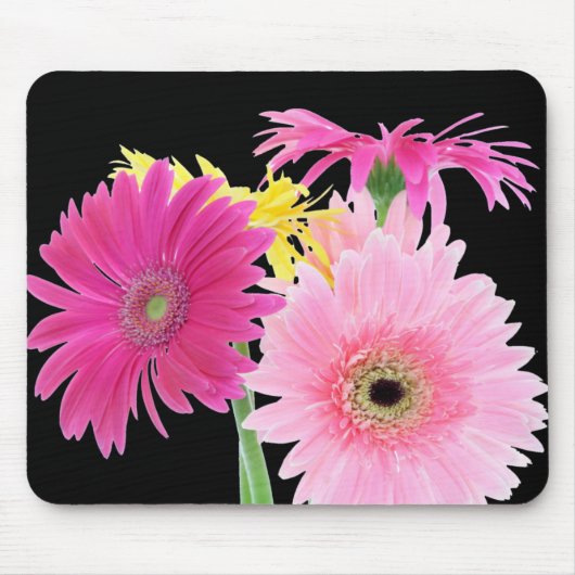 Gerbera Daisy Piink Flowers Muismat (Voorkant)