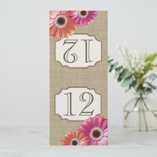 Gerbera Daisy Pink and Coral Table Number Kaart (Staand voorkant)