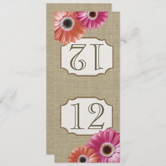 Gerbera Daisy Pink and Coral Table Number Kaart (Voorkant / Achterkant)