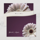 Gerbera Daisy / Plum Fancy Kaart (Voorkant / Achterkant)