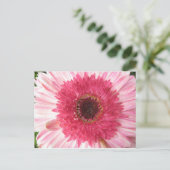 Gerbera Daisy Post Card Briefkaart (Staand voorkant)