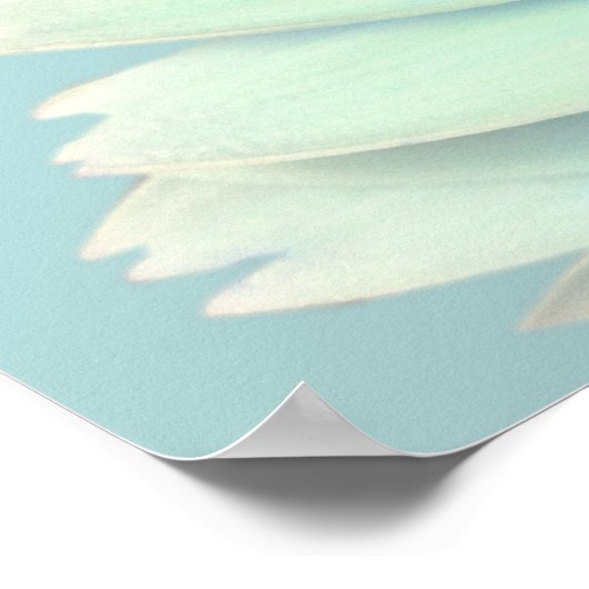 Gerbera Daisy Poster (Hoek)