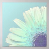 Gerbera Daisy Poster (Voorkant)