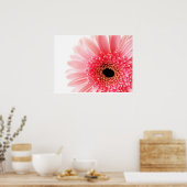 Gerbera Daisy Poster (Keuken)