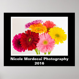 Gerbera Daisy Poster