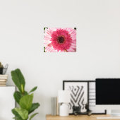 Gerbera Daisy Poster (Thuiskantoor)