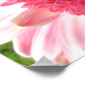 Gerbera Daisy Poster (Hoek)