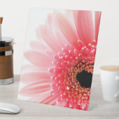 Gerbera Daisy Poster Reclamebord Met Voetstuk (Insitu)