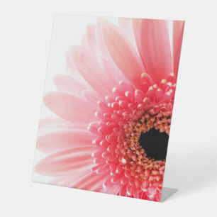 Gerbera Daisy Poster Reclamebord Met Voetstuk