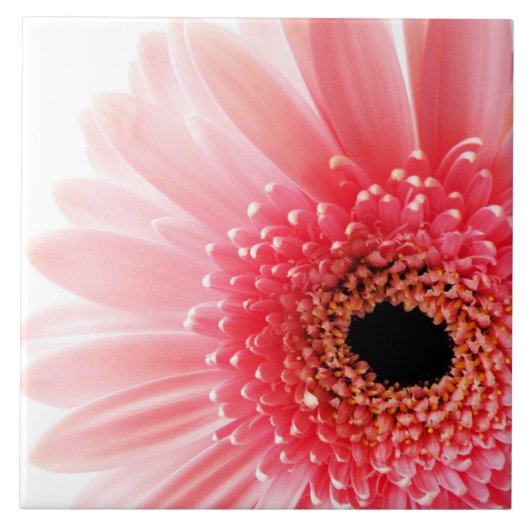 Gerbera Daisy Poster Tegeltje (Voorkant)