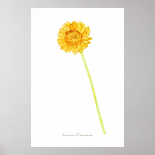 Gerbera daisy Print, Value Poster Paper (Matte) (Voorkant)