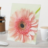 Gerbera Daisy Reclamebord Met Voetstuk (Insitu)