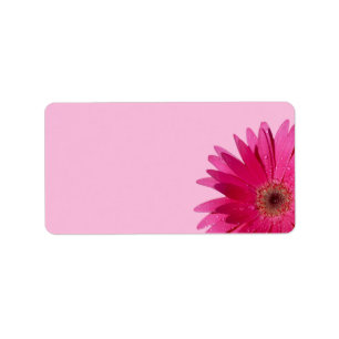 Gerbera Daisy Roze Achtergrond Bruiloft Blank Etiket
