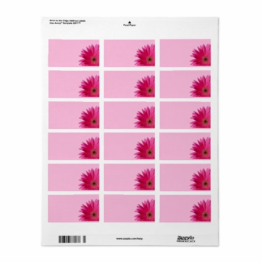 Gerbera Daisy Roze Achtergrond Bruiloft Blank Etiket (Full Sheet)