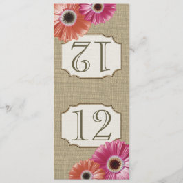 Gerbera Daisy Roze en Koraal Tafelnummer