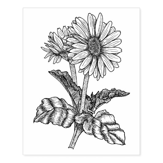 Gerbera Daisy Rubberstempel (Afrduk)