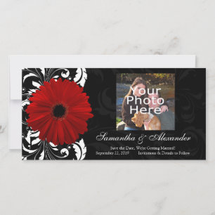Gerbera Daisy Save The Date