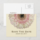 Gerbera Daisy Save The Date Briefkaart (Voorkant / Achterkant)