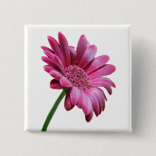 Gerbera Daisy Square Pin Vierkante Button 5,1 Cm