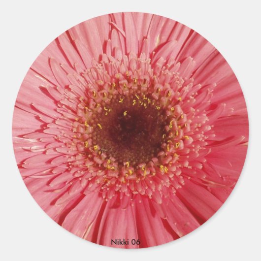Gerbera Daisy Sticker (Voorkant)