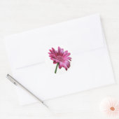 Gerbera Daisy Sticker (Envelop)