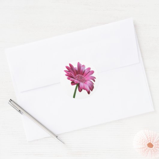 Gerbera Daisy Sticker (Envelop)