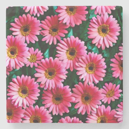 Gerbera Daisy Stone Onderzetter (Voorkant)