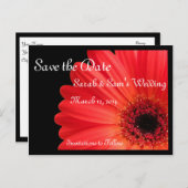 Gerbera Daisy Theme Save the Date Aankondigingskaart (Voorkant / Achterkant)