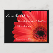 Gerbera Daisy Theme Save the Date Aankondigingskaart (Voorkant)