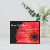 Gerbera Daisy Theme Save the Date Aankondigingskaart (Staand voorkant)