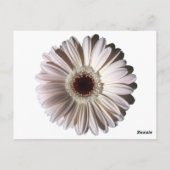 Gerbera Daisy / Trouwtafel Kaart (Achterkant)