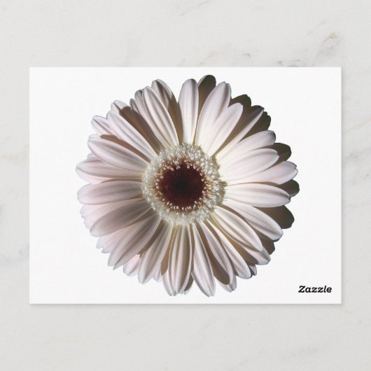 Gerbera Daisy / Trouwtafel Kaart (Achterkant)