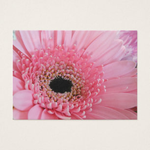 Gerbera Daisy Visitekaartje