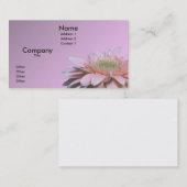 Gerbera Daisy Visitekaartje (Voorkant / Achterkant)