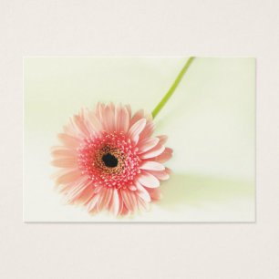 Gerbera Daisy Visitekaartjes
