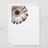 Gerbera Daisy-Vrijgezellenfeest Kaart (Achterkant)