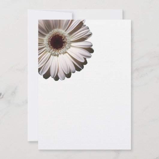 Gerbera Daisy-Vrijgezellenfeest Kaart (Achterkant)