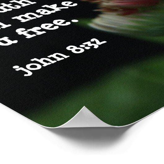 Gerbera Daisy w/ Scripture Verse (john 8:32) Poster (Hoek)